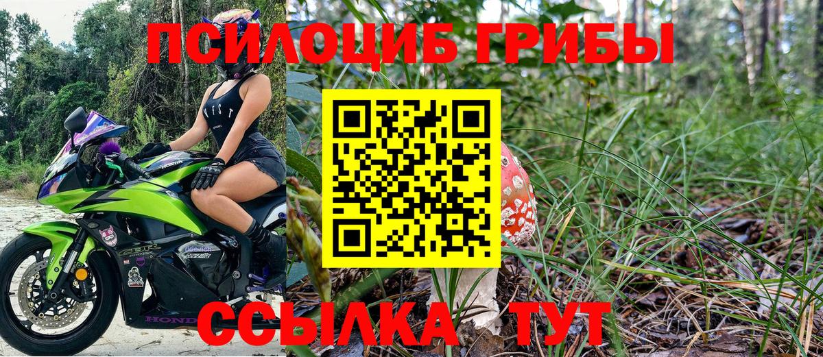 Псилоцибиновые грибы Magic Shrooms Балтийск