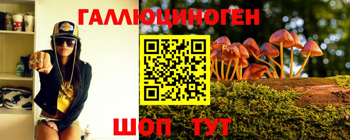 Псилоцибиновые грибы Cubensis  Вход с VPN  Псилоцибиновые грибы ЛСД  Балтийск 